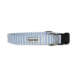 Pet Collar