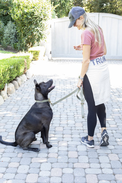 Dog Leash